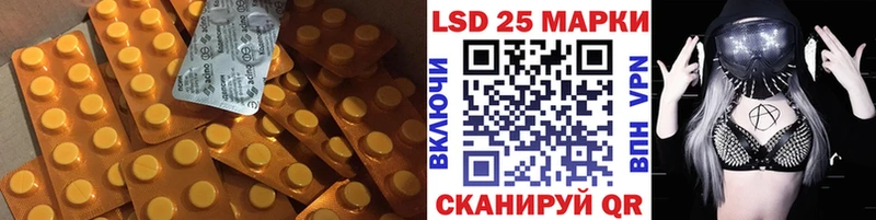 omg сайт  Каменка  Лсд 25 экстази ecstasy 